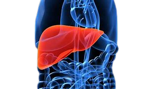liver issue